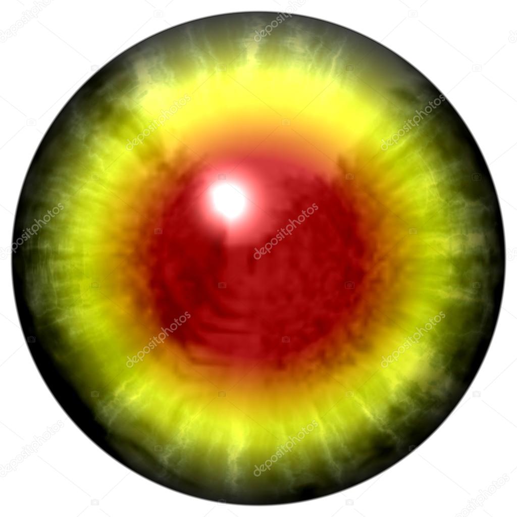 Öğrenciler ne için dilate edildi Öğrenciler ne için dilate edildi