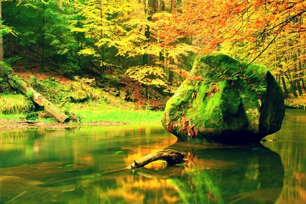 Grande pedra caída no rio de outono. Cores do rio de montanha de outono. Bancos coloridos com folhas, folhas árvores dobradas acima do rio . — Fotografia de Stock