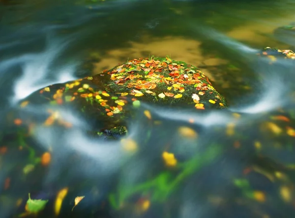 Le foglie di pioppo tremulo variopinte su masso in corrente di montagna. Acqua limpida offuscata da lunga esposizione, riflesso nel livello dell'acqua . — Foto Stock