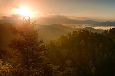 Daybreak içinde derin puslu Vadisi. Tepelik bakış sisli ve sisli sabahı