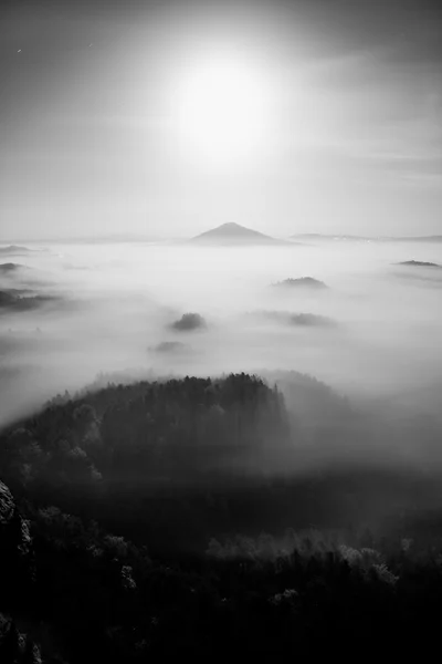 月圆夜。童话在山的波希米亚萨克森瑞士薄雾笼罩的夜色。从大雾山像群岛增加. — 图库照片