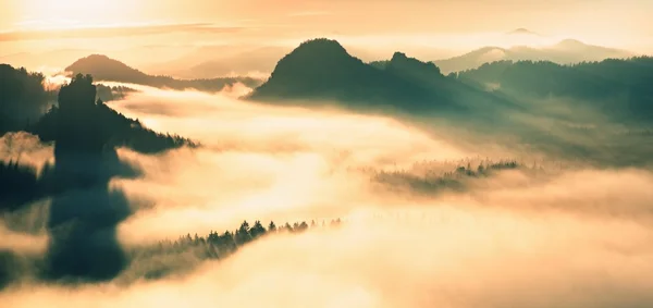 Autumn sunset view over forest to fall colorful valley full of dense mist colored with hot sun rays — Stockfoto