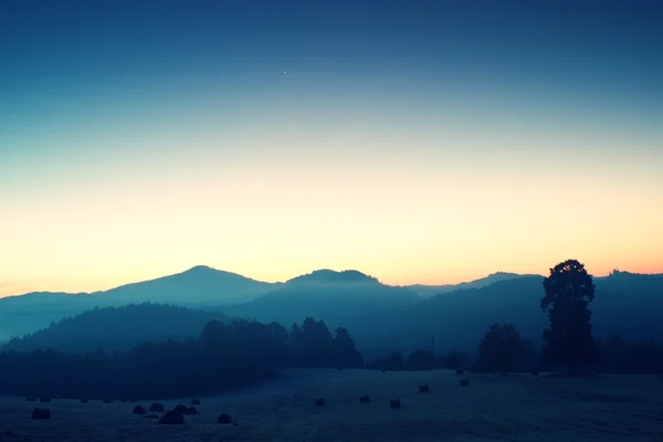 Early foggy morning at meadows. Daybreak at horizon.  Ground frost covered grass withgrey  hoarfrost — Stock Photo, Image