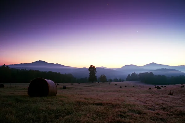 Early foggy morning at meadows. Daybreak at horizon.  Ground frost covered grass withgrey  hoarfrost — Stock Photo, Image