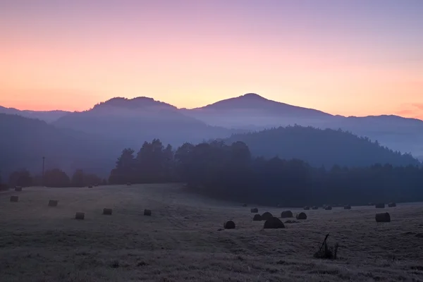 Pittoresque brume et le lever du soleil froid dans le paysage. Premier givre dans la prairie brumeuse du matin — Photo