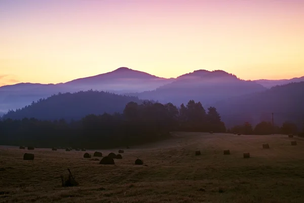 Mlhavé ráno v meadows. Svítání na obzoru. Pokrývala jinovatka pozemní trávy withgrey jinovatka — Stock fotografie