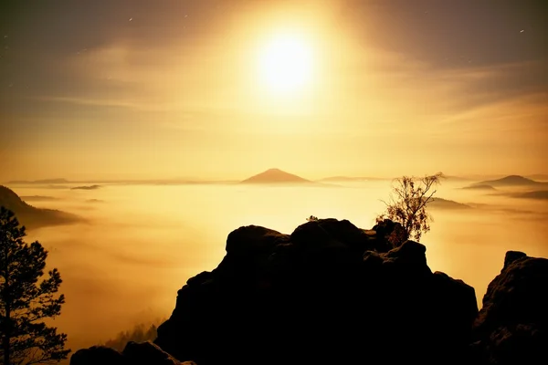 Island with tree in misty ocean. Full moon night in  beautiful mountain. Sandstone peaks  increased from heavy creamy fog. — Stock Photo, Image