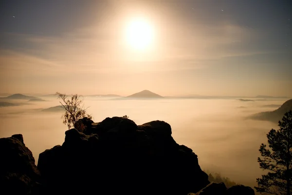 Island with tree in misty ocean. Full moon night in  beautiful mountain. Sandstone peaks  increased from heavy creamy fog. — Stock Photo, Image