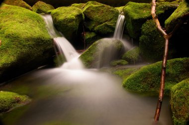 Torrent,  mountain stream with mossy stones, hard rocks and fallen tree. clipart