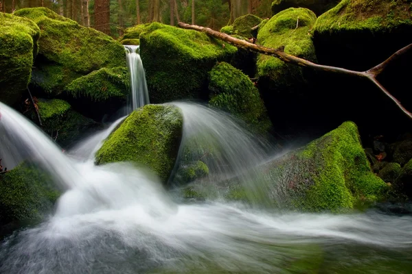 Torrente, arroyo de montaña con piedras musgosas, rocas duras y árbol caído . —  Fotos de Stock