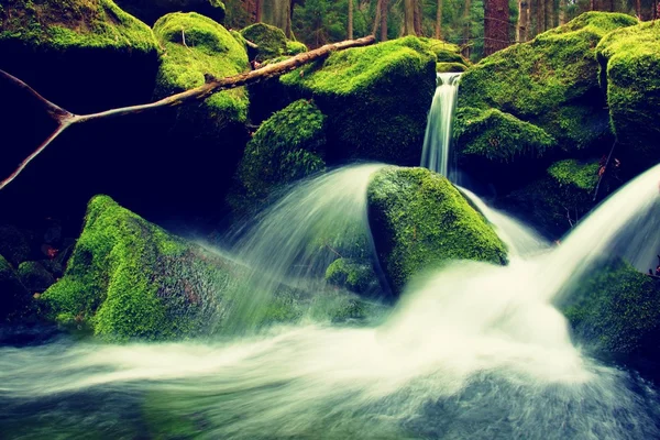 Torrent,  mountain stream with mossy stones, hard rocks and fallen tree. — Stock Photo, Image