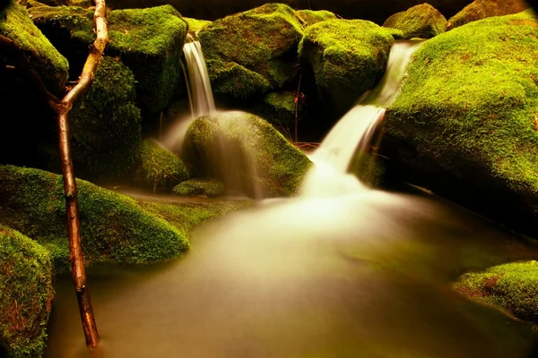 Torrent, córrego da montanha com pedras musgosas, rochas duras e árvore caída . — Fotografia de Stock