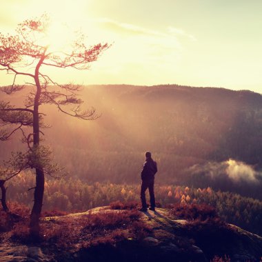 Heather bush empire köşesinde standında uzun yürüyüşe çıkan kimse çam ağacı feryat ve puslu ve sisli sabah Vadisi izlemek 