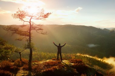 Güneşli sabah. Eller havaya ile mutlu hiker rock feryat çam ağacı üzerinde durmak. Sisli ve sisli sabah Vadisi.