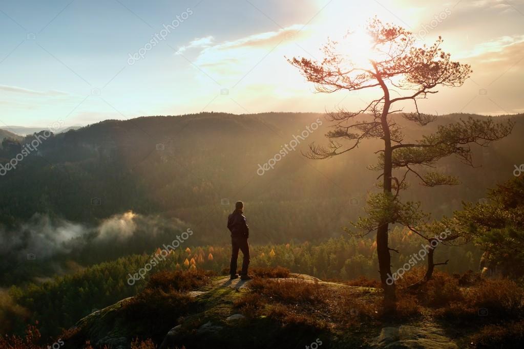 Hiker stand at heather bush on the corner of  empire bellow pine tree and watch over misty and foggy morning valley 
