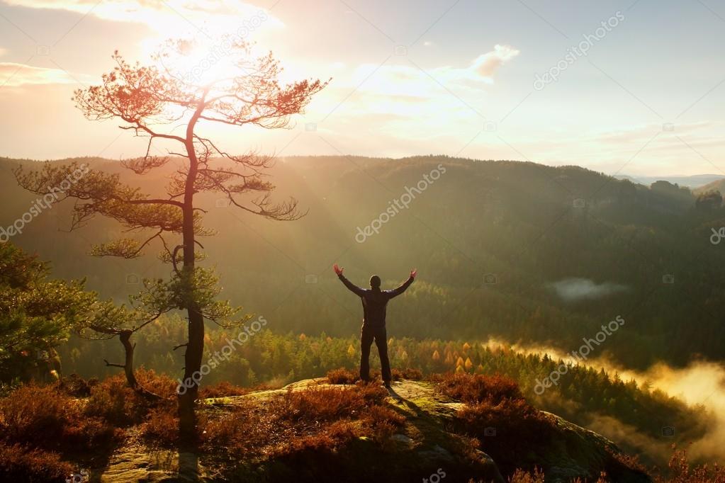 Sunny morning. Happy hiker with hands in the air stand on rock bellow pine tree. Misty and foggy morning valley.