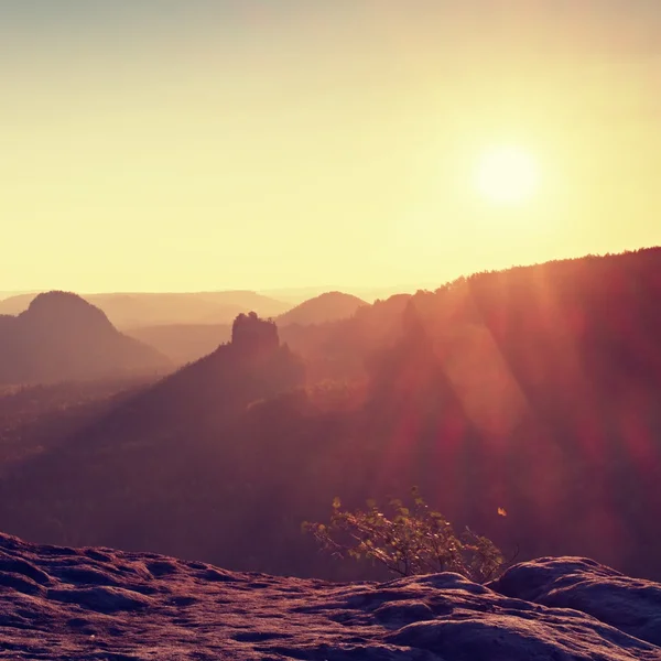 Bengalas soleadas en lente. Colorido amanecer. Despertar brumoso en una hermosa colina. Picos de colinas sobresalen del fondo brumoso — Foto de Stock