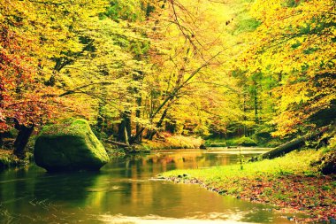 Büyük kayanın sonbahar nehre düşmüş. Renkler sonbahar dağ nehir. Renkli bankalar ile yaprakları, ağaçlar nehir çökmekten bırakır.