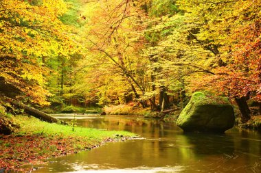 Büyük kayanın sonbahar nehre düşmüş. Renkler sonbahar dağ nehir. Renkli bankalar ile yaprakları, ağaçlar nehir çökmekten bırakır.