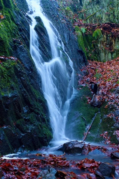 Wasserspritze unterhalb eines kleinen Wasserfalls am Gebirgsbach. Abgebrochene Äste im Wasser — Stockfoto