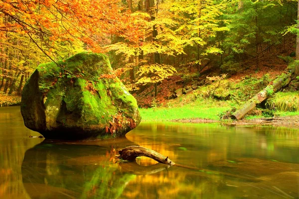 Большой валун упал в осеннюю реку. Цвета осенней горной реки. Цветные берега с листьями, листья, склонившиеся над рекой . — стоковое фото