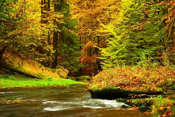 Χρώματα του φθινοπώρου ποτάμι βουνό. Πολύχρωμο τράπεζες με φύλλα, δέντρα bended πάνω από το ποτάμι. Μεγάλος ογκόλιθος στο ποτάμι — Φωτογραφία Αρχείου