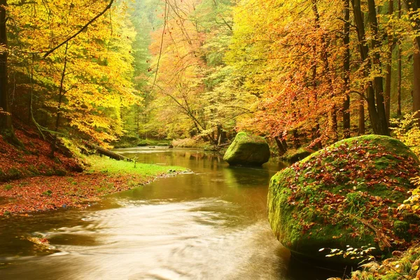 Stora stenblock med nedfallna löv. Höstens berg flodbankar. Färsk grön mossiga stenblock och flodbankar täckt med färgglada löv — Stockfoto