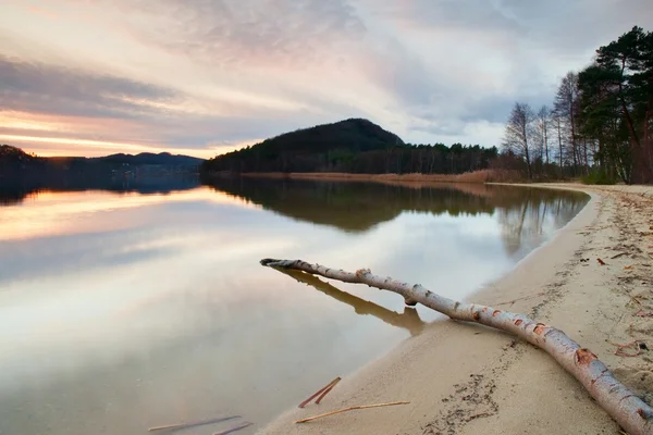 Long exposure of lake shore with dead tree trunk fallen into water Autumn evening after sunset. — Stock Photo, Image