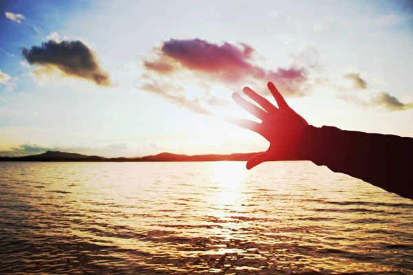 Silueta prstů rukou a lomg se snaží dotknout slunce, západ slunce nad oceánem. Ostré barvy. — Stock fotografie