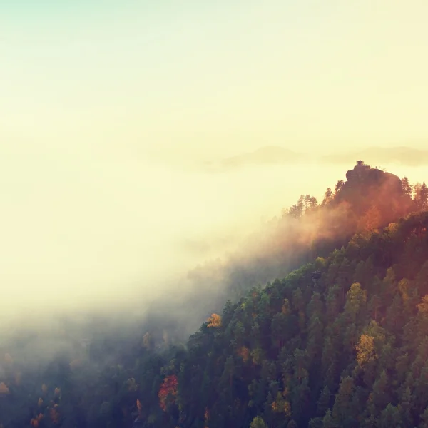 Couleurs du matin romantique d'automne. Maison en bois ou cabane pour randonneurs sur le pic vert de la colline forestière. Soufflet de brume d'automne dans la vallée . — Photo