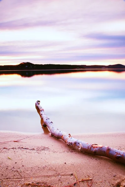 Noite de outono no lago depois do pôr do sol. Praia de areia molhada com árvore seca caída na água. Céu colorido . — Fotografia de Stock