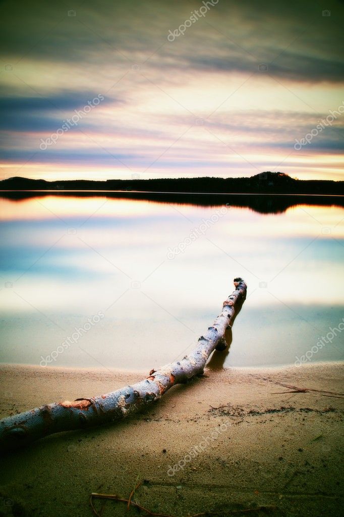  Long exposure landscape of lake shore with dead trunk fallen into water