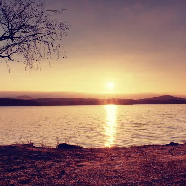 Romantic apus de soare colorat pe lac. Plajă cu mesteacăn și soare roșu fierbinte în oglindă de apă — Fotografie, imagine de stoc