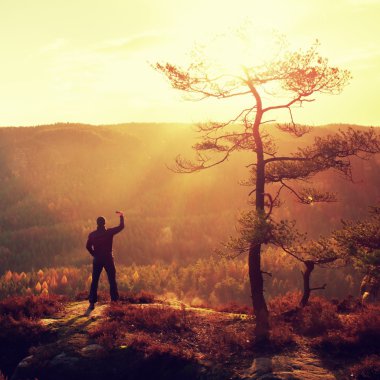 Uzun boylu turizm feryat çam ağacı selfie sonbahar Vadisi yukarıda tepe üzerinde alıyor. 