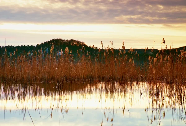 Όμορφο φθινόπωρο Ανατολή ή το ηλιοβασίλεμα με προβληματισμό για τη στάθμη του νερού στη λίμνη. Απαλά κύματα — Φωτογραφία Αρχείου
