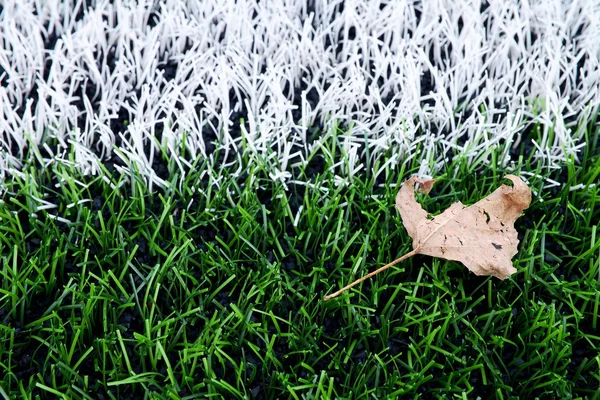 Конец футбольного сезона. Сухой лист на земле из пластика зеленого футбольного поля с окрашенной белой линией  . — стоковое фото