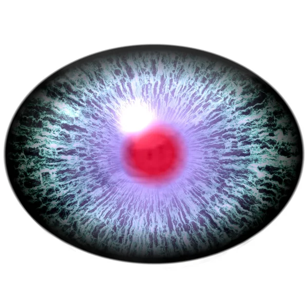 Ojo de animal azul con pupila abierta y retina roja brillante en el fondo. Iris colorido alrededor de la pupila, bulbo ocular . —  Fotos de Stock