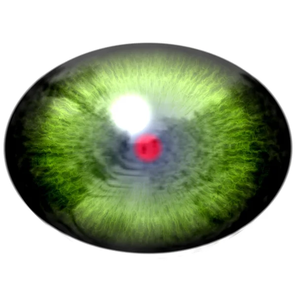 Зеленый глаз животного с большим зрачком и ярко-красной сетчаткой на заднем плане. Темно-зеленая радуга вокруг щенка, луковица глаза . — стоковое фото