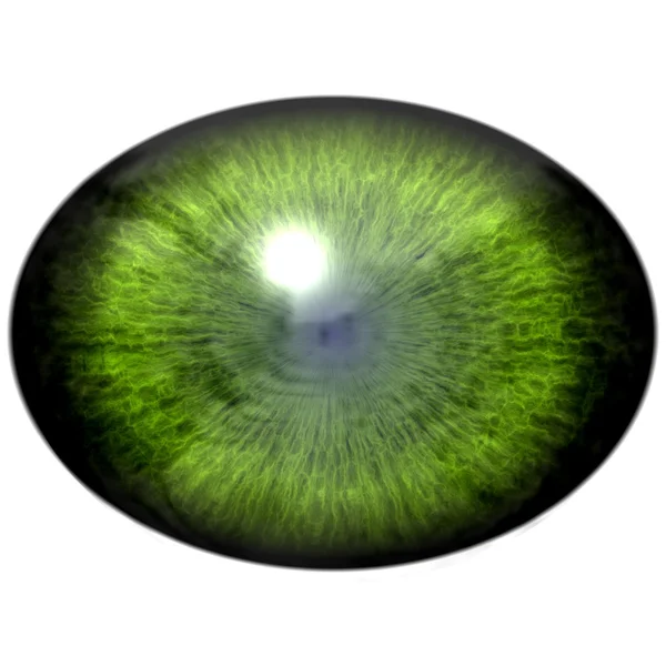 Groene dierlijke oog met grote leerling en heldere rode netvlies op achtergrond. Donker groene iris rond leerling, oog lamp. — Stockfoto