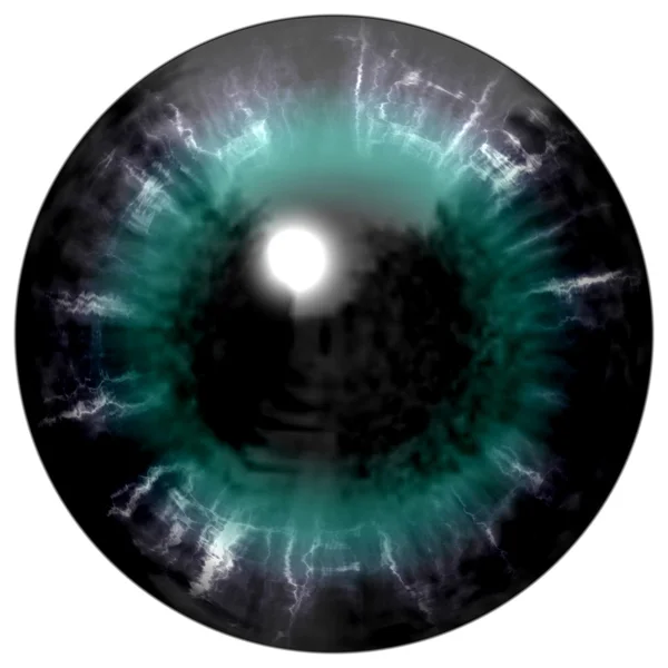 Izolované zelené oko. Ilustrace zelené modré svlékl oční duhovka, světelný odraz — Stock fotografie