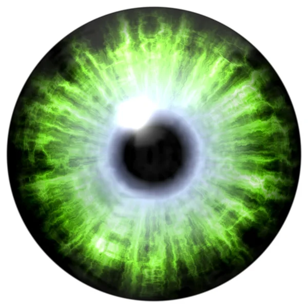 Изолированный зелёный глаз. Иллюстрация зелено-голубой полосатой радужки глаза, отражение света — стоковое фото