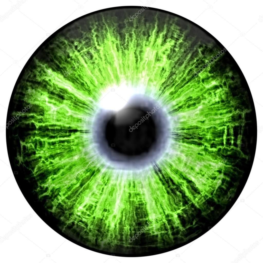 Isolated green eye. Illustration of green blue stripped eye iris, light reflection