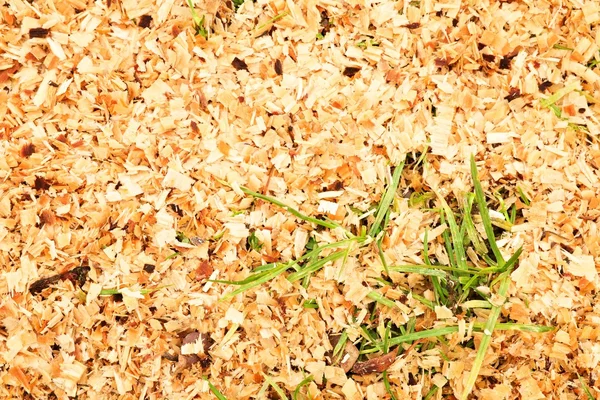 Zaagsel van droge elzen hout met stukjes droog bruin schors op grond met gras. — Stockfoto