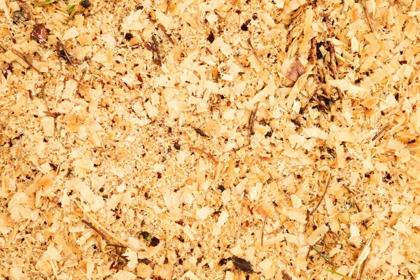 Aserrín de madera de aliso seco con trozos de corteza marrón seca en el suelo con hierba . — Foto de Stock