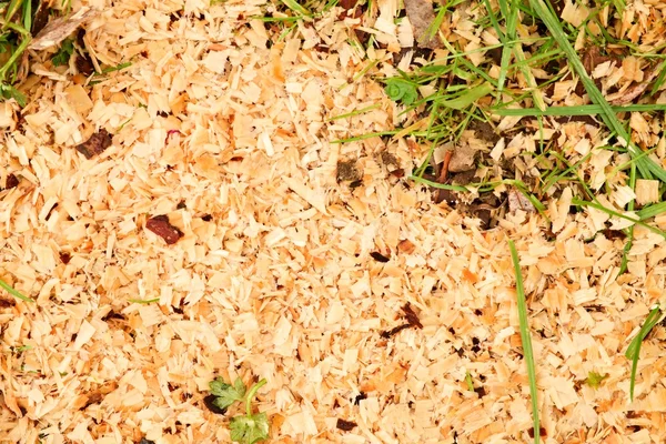 Sawdust of dry alder wood with pieces of dry brown bark on ground with grass. — Stock Photo, Image