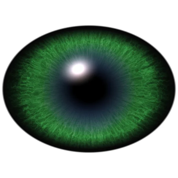 Green animal eye with large pupil and bright retina. Dark green iris around pupil, detail view into eye bulb. — Stock Photo, Image