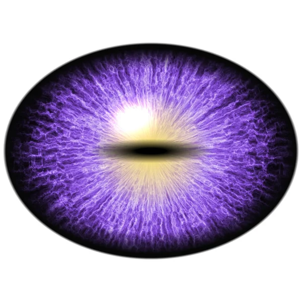Изолированный глаз. Пурпурный глаз раптора с большим зрачком и ярко-красной сетчаткой. Темная радужка вокруг зрачка . — стоковое фото