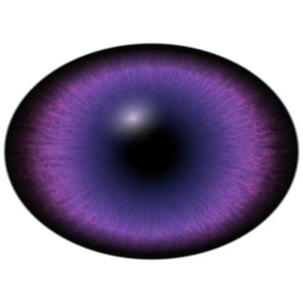 Ізольоване око. Раптове фіолетове око з великою зіницею і яскраво-червоною сітківкою. Темна райдужка навколо зіниці . — стокове фото