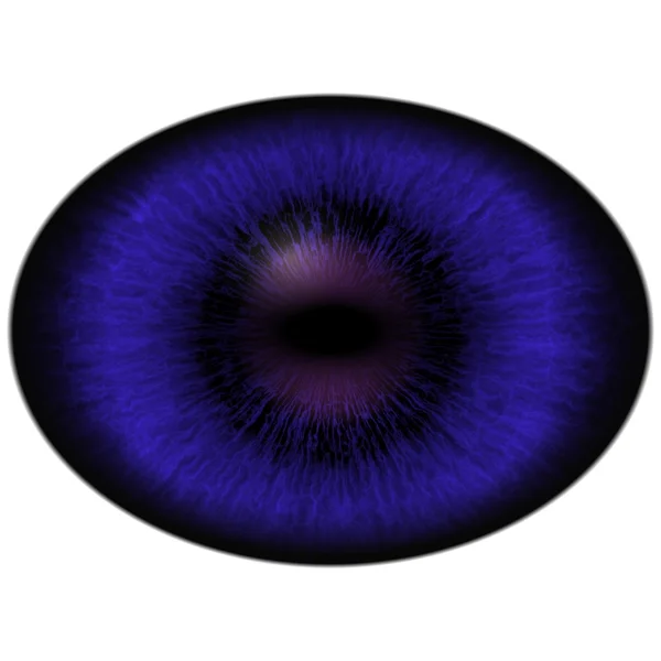 Isolated eye. Raptor blue violet eye with large pupil and dark retina. Dark iris around pupil. — Stock Photo, Image