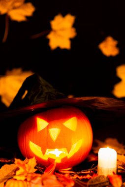 Cadılar Bayramı Renkli Tema Ürkütücü Karanlık ve Sarı Akçaağaç Yanan Balkabağı, Şamdan, Cadı Şapkası sarı Arkaplanda Yapraklar